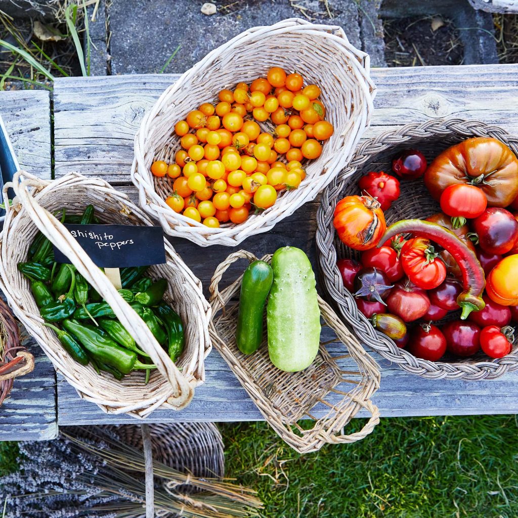 Fruits and vegetables harvested in baskets
