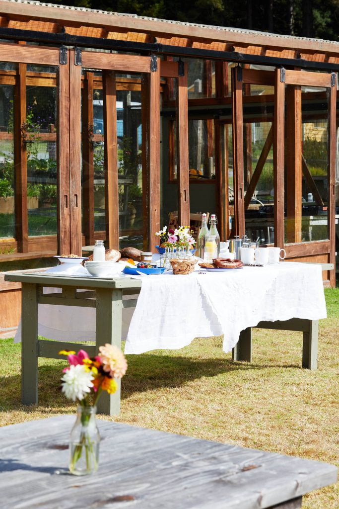 Harvested breakfast on table spread