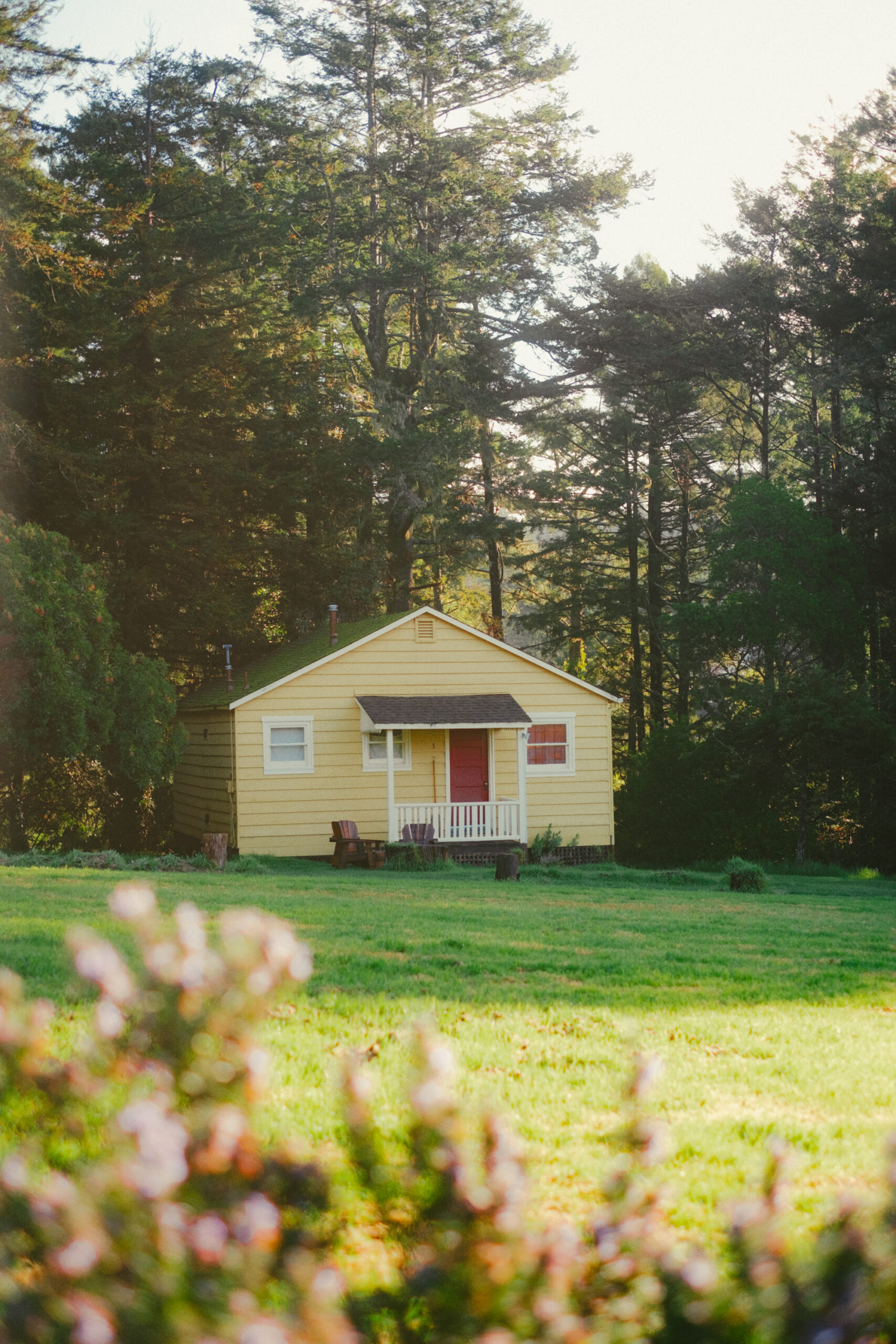 A cozy yellow cottage with a red door nestled in a sunlit meadow surrounded by tall trees at Mar Vista Farm and Cottages on the Northern California coast.